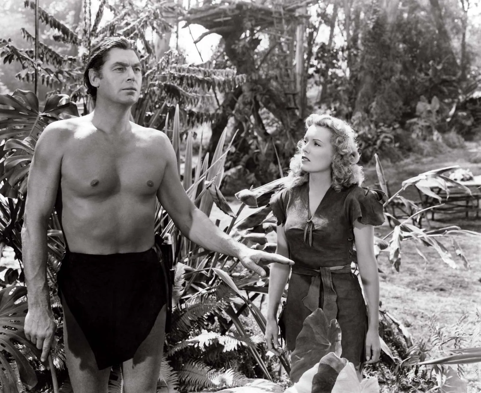 Weissmuller en Tarzan, aussi à l'aise dans les piscines que devant les caméras